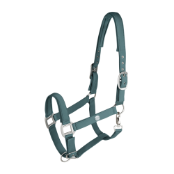Licol Waldhausen Trinidad Vert pin