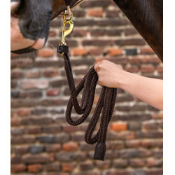 Longe Royal Waldhausen avec détails en cuir Marron