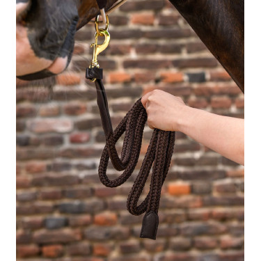 Longe Royal Waldhausen avec détails en cuir Marron