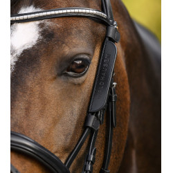 Kleine Waldhausen oogschelp Zwart