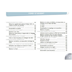 Livre En selle vers les poneys de bronze d'argent et d'or Lavauzelle