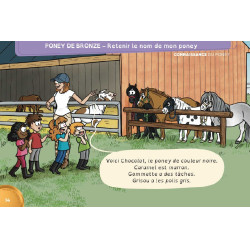 Livre En selle vers les poneys de bronze d'argent et d'or Lavauzelle