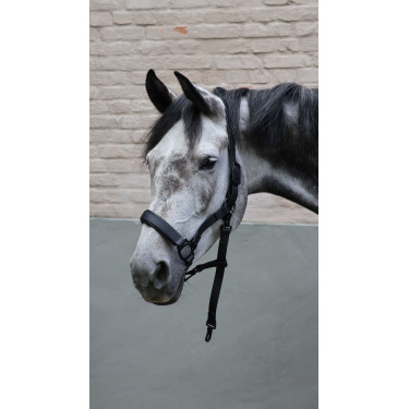 Licol Lami-Cell Flexicare Noir