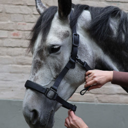 Halter Lami-Cell Flexicare Zwart