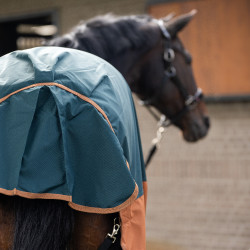 Buiten deken Imperial Riding Customized 400g met hals Donkergroen / vos Buiten deken Imperial Riding Customized 400g met hals Donkergroen / vos