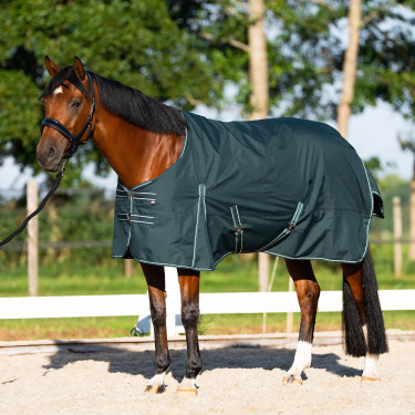 Couverture de paddock Imperial Riding Basic sans couvre-cou 300gr