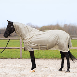 Vliegendeken met afneembare hals Imperial Riding Reese Licht olijfkleurig Groen Vliegendeken met afneembare hals Imperial Riding Reese Licht olijfkleurig Groen