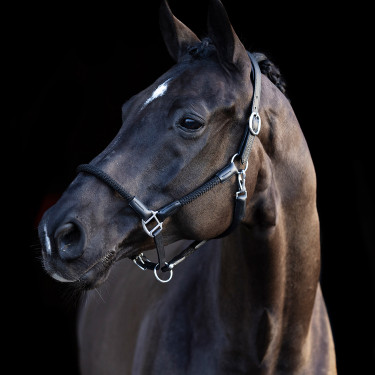 Halster HV Polo Franka Halster HV Polo Franka