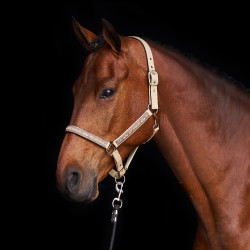 Halster HV Polo Nena Tan Bruin
