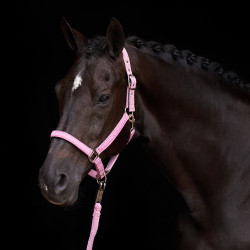 Licol HV Polo Nena Jolie rose
