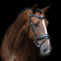 Bridon anglais Imperial Riding combinée Sleek Noir