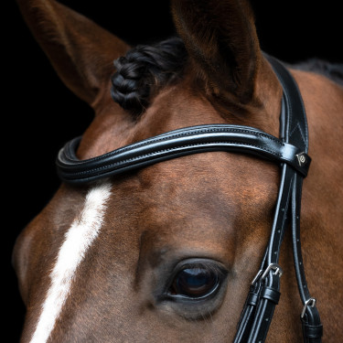 Bridon anglais Imperial Riding combinée Sleek Noir
