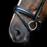 Engelse hoofdstel Imperial Riding gecombineerde Sleek Zwart