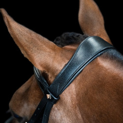 Bridon anglais Imperial Riding combinée Sleek Noir