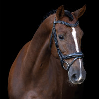 Hoofdstel Imperial Riding met gebogen Engels neusriem Zwart
