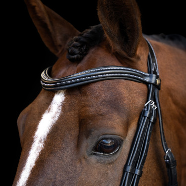 Hoofdstel Imperial Riding met gebogen Engels neusriem Zwart