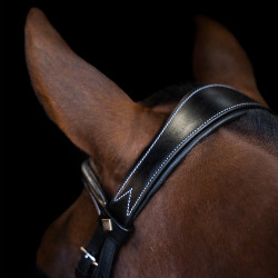 Bridon Imperial Riding avec muserolle anglaise courbée Noir