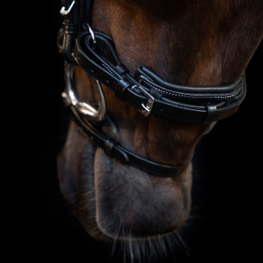 Hoofdstel Imperial Riding met gebogen Engels neusriem Zwart