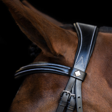 Hoofdstel Imperial Riding met gebogen Engels neusriem Zwart