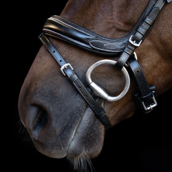 Hoofdstel Imperial Riding met gebogen Engels neusriem Zwart