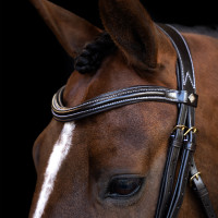 Bridon Imperial Riding avec muserolle anglaise courbée Noir Bridon Imperial Riding avec muserolle anglaise courbée Noir