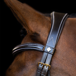Hoofdstel Imperial Riding met gebogen Engels neusriem Bruin