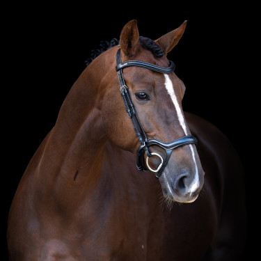 Hoofdstel Imperial Riding met lage ergonomische gecombineerde neusriem Zwart