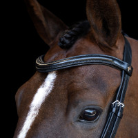 Hoofdstel Imperial Riding met lage ergonomische gecombineerde neusriem Zwart