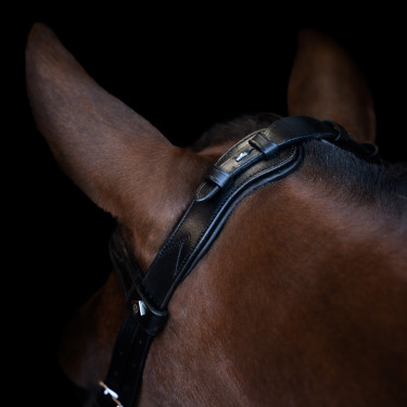 Hoofdstel Imperial Riding met lage ergonomische gecombineerde neusriem Zwart