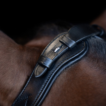 Hoofdstel Imperial Riding met lage ergonomische gecombineerde neusriem Zwart