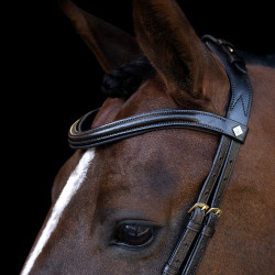 Bridon Imperial Riding avec muserolle combinée ergonomique basse Marron
