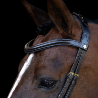 Hoofdstel Imperial Riding met lage ergonomische gecombineerde neusriem Zwart Hoofdstel Imperial Riding met lage ergonomische gecombineerde neusriem Zwart