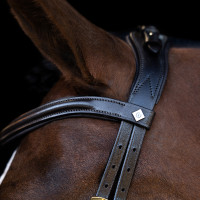 Hoofdstel Imperial Riding met lage ergonomische gecombineerde neusriem Bruin Hoofdstel Imperial Riding met lage ergonomische gecombineerde neusriem Bruin