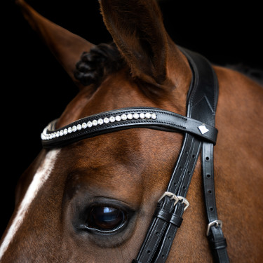 Bridon Imperial Riding combinée simple Noir