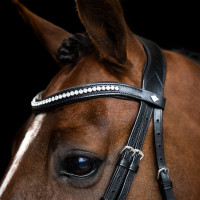 Eenvoudig gecombineerde Imperial Riding hoofdstel Bruin Eenvoudig gecombineerde Imperial Riding hoofdstel Bruin
