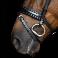 Eenvoudig gecombineerde Imperial Riding hoofdstel Zwart