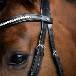 Bridon Imperial Riding combinée simple Noir