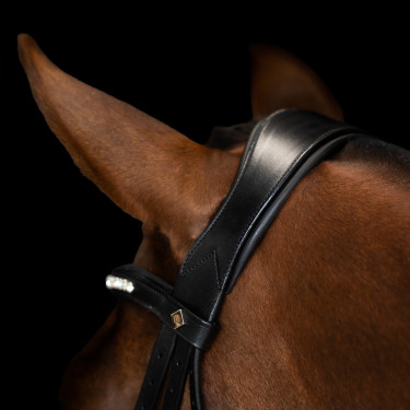 Bridon Imperial Riding combinée simple Noir