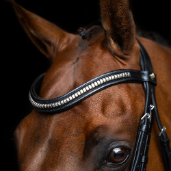 Bridon muserolle mexicaine Imperial Riding Noir