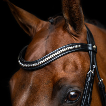 Bridon muserolle mexicaine Imperial Riding Noir