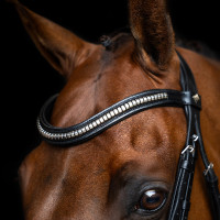 Hoofdstel met Mexicaanse neusriem Imperial Riding Zwart