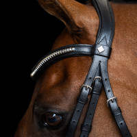 Hoofdstel met Mexicaanse neusriem Imperial Riding Zwart