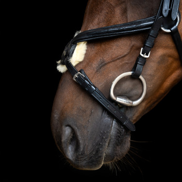 Hoofdstel met Mexicaanse neusriem Imperial Riding Zwart