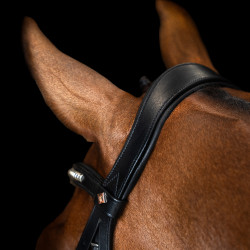 Hoofdstel met Mexicaanse neusriem Imperial Riding Zwart