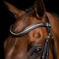 Hoofdstel met Mexicaanse neusriem Imperial Riding Zwart