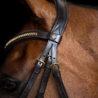 Bridon muserolle mexicaine Imperial Riding Noir