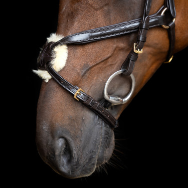 Bridon muserolle mexicaine Imperial Riding Marron foncé Bridon muserolle mexicaine Imperial Riding Marron foncé
