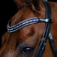 Frontal Imperial Riding Maxima Saphir Bleu Frontal Imperial Riding Maxima Saphir Bleu