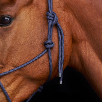 Licol HV Polo Lamu Marine Bleu marine