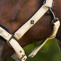 Licol Imperial Riding Jewel Mesh Olive clair Vert